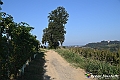 VBS_5725 - C'è un mare di velluto verde! E tu che sognavi di andare lontano... Quanta meraviglia, quì!